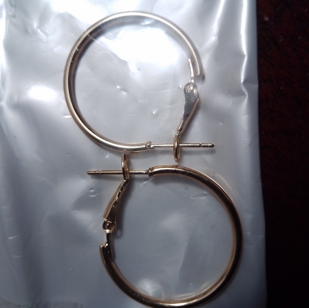 Small pair of gold earrings